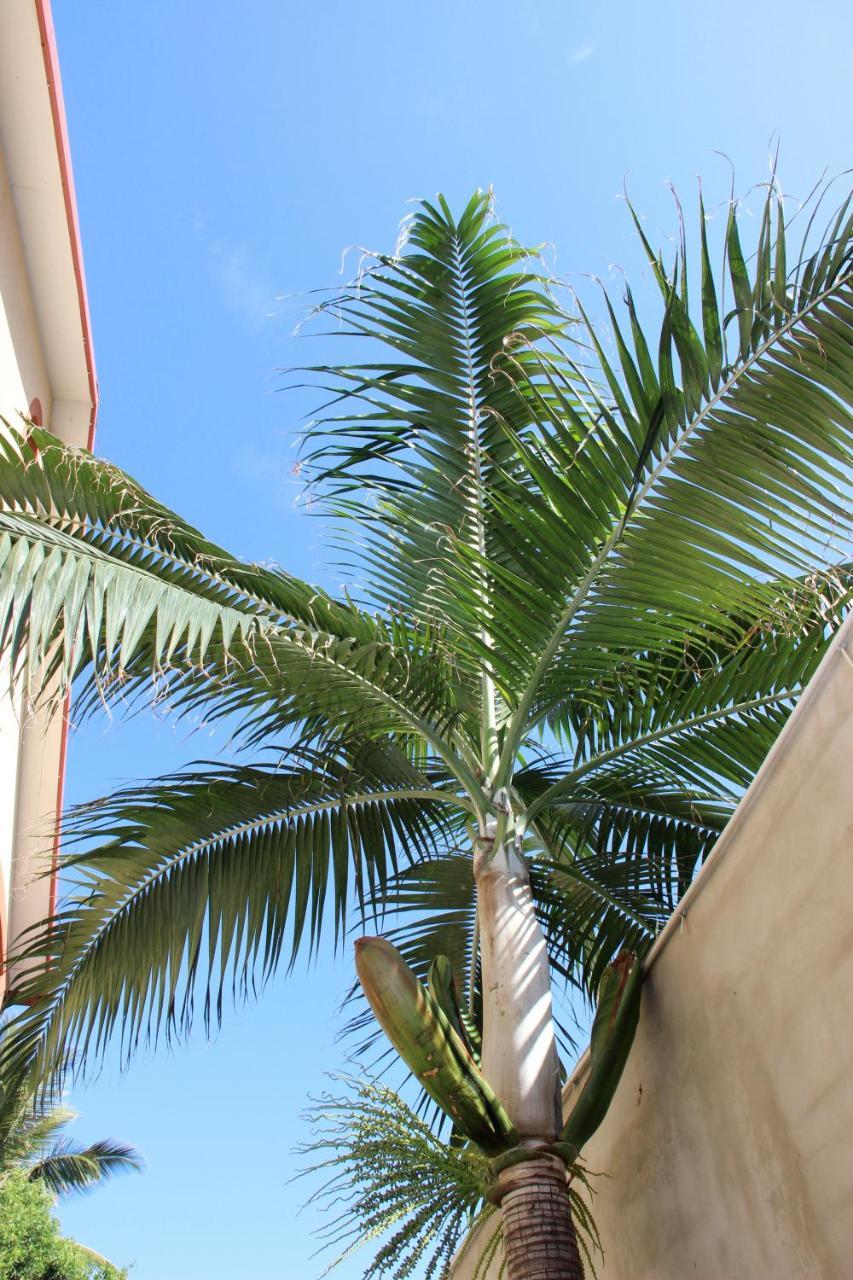La Kazette - Votre Studio de Vacances à l Île de La Réunion Saint-Louis Extérieur photo